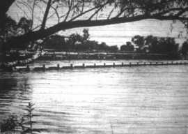 CJ Flood